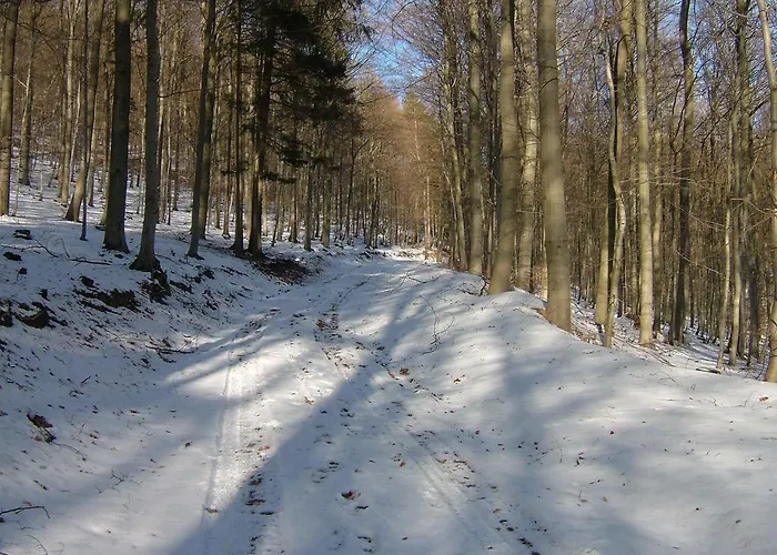 Fliederhof * Herresbach